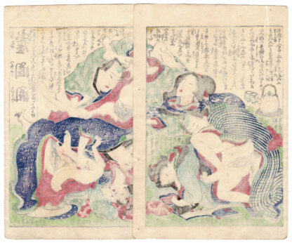 DICTIONARY OF LIES: COMING OF AGE, MENSTRUATION, HAIRLESS VAGINA (Koikawa Shozan)